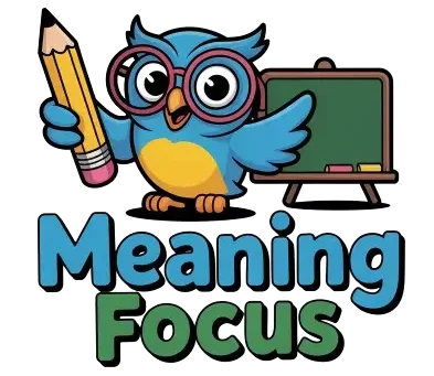 meaningfocus.com