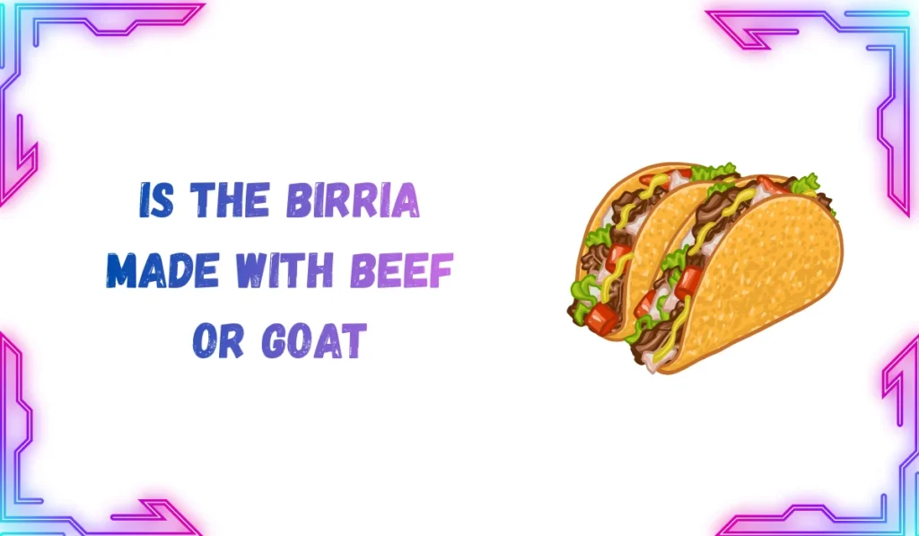 birria meaning