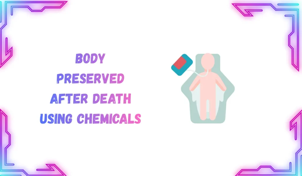 embalmed meaning