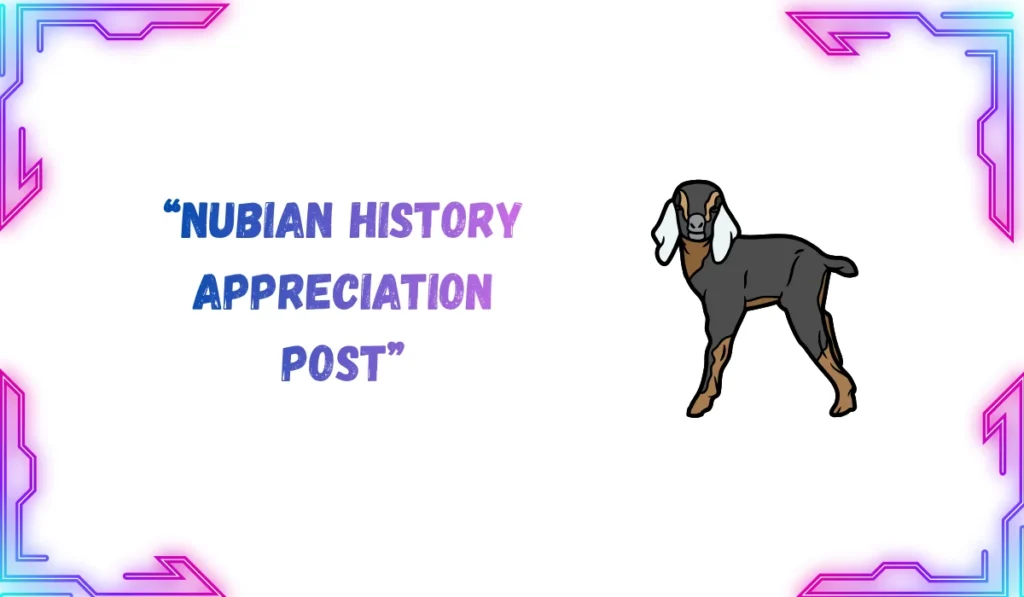 nubian meaning