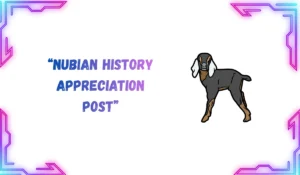 nubian meaning