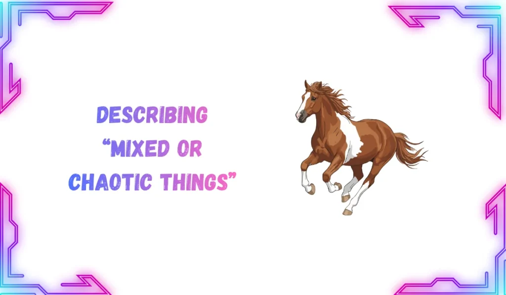 zorse meaning
