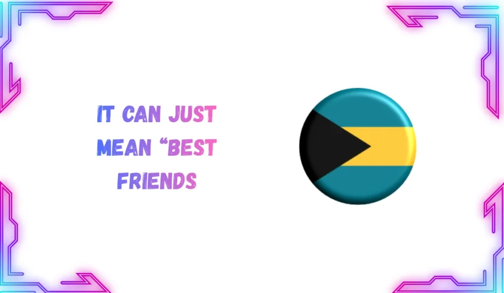bsfs-meaning