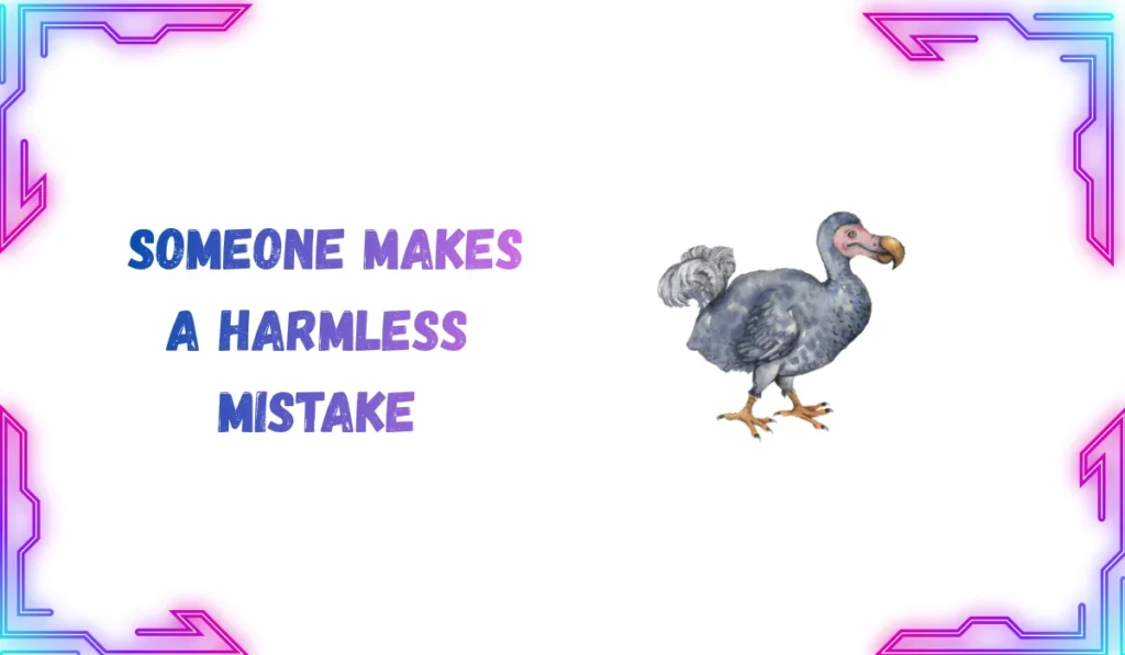 dodo meaning slang
