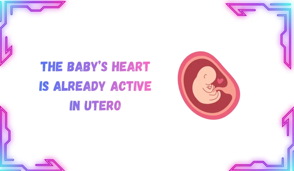 in-utero meaning