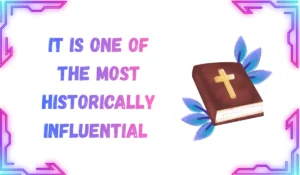 niv bible meaning